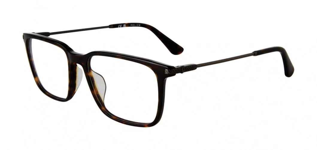 Police VPLG77 Eyeglasses - view 2
